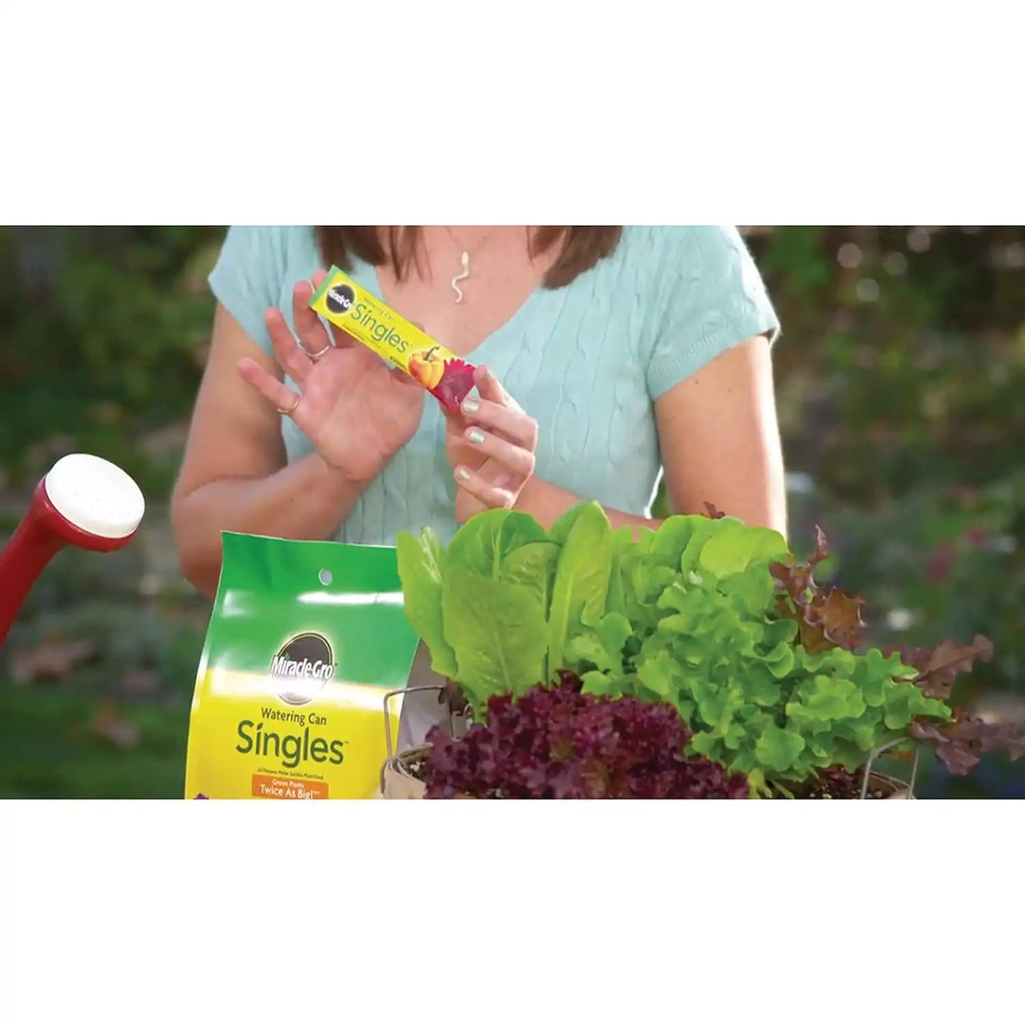 Miracle-Gro Watering Can Singles All Purpose Plant Food 24 Packets (6-Pack)