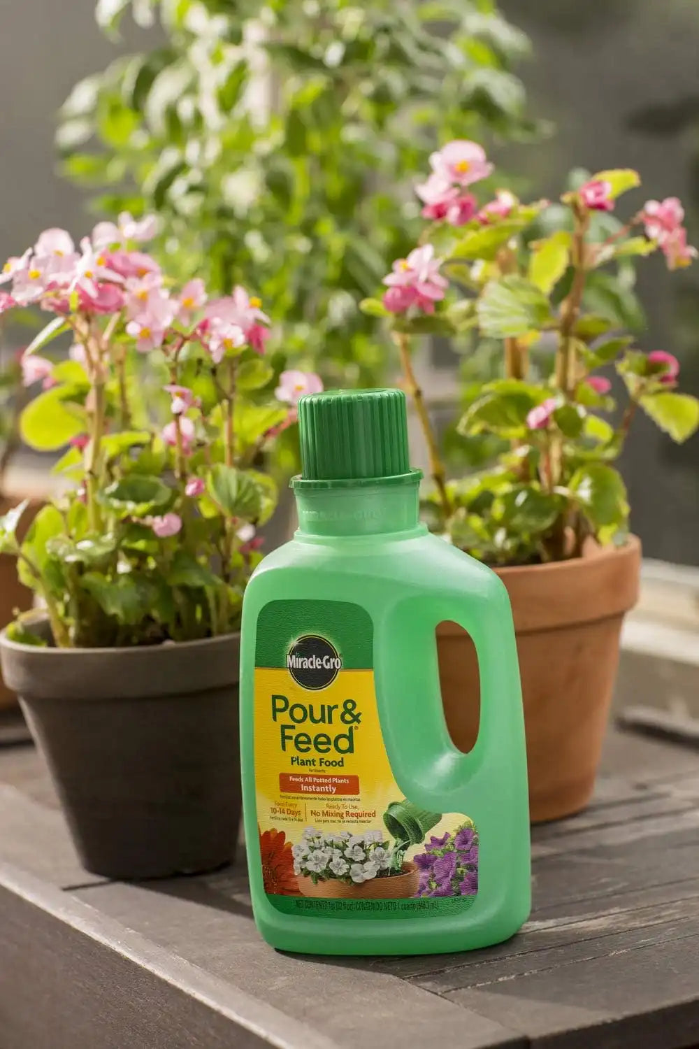 Miracle-Gro Plant Food, Liquid | Pour & Feed | 32 fl. oz | Pack of 2