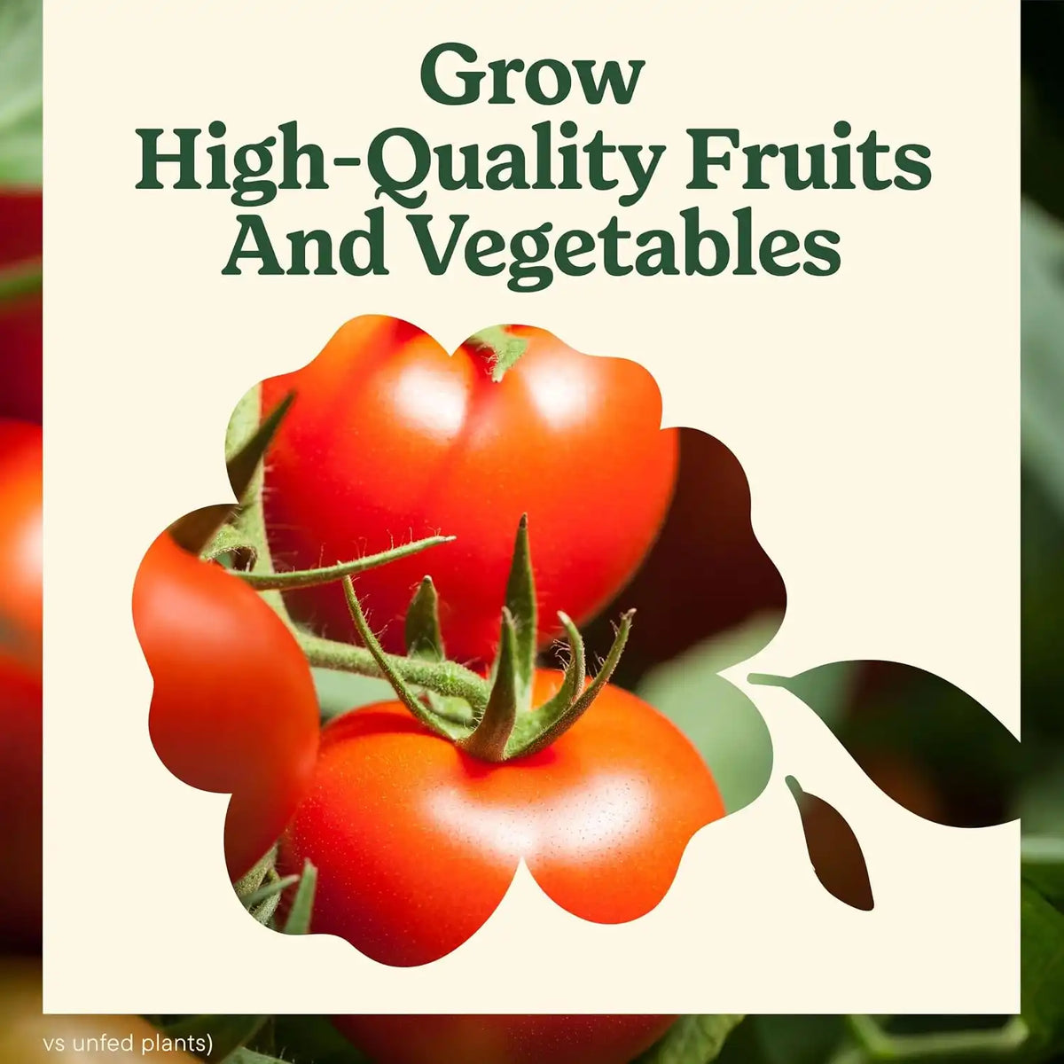Miracle-Gro LiquaFeed Tomato, Fruits and Vegetables Plant Food (2-Pack)