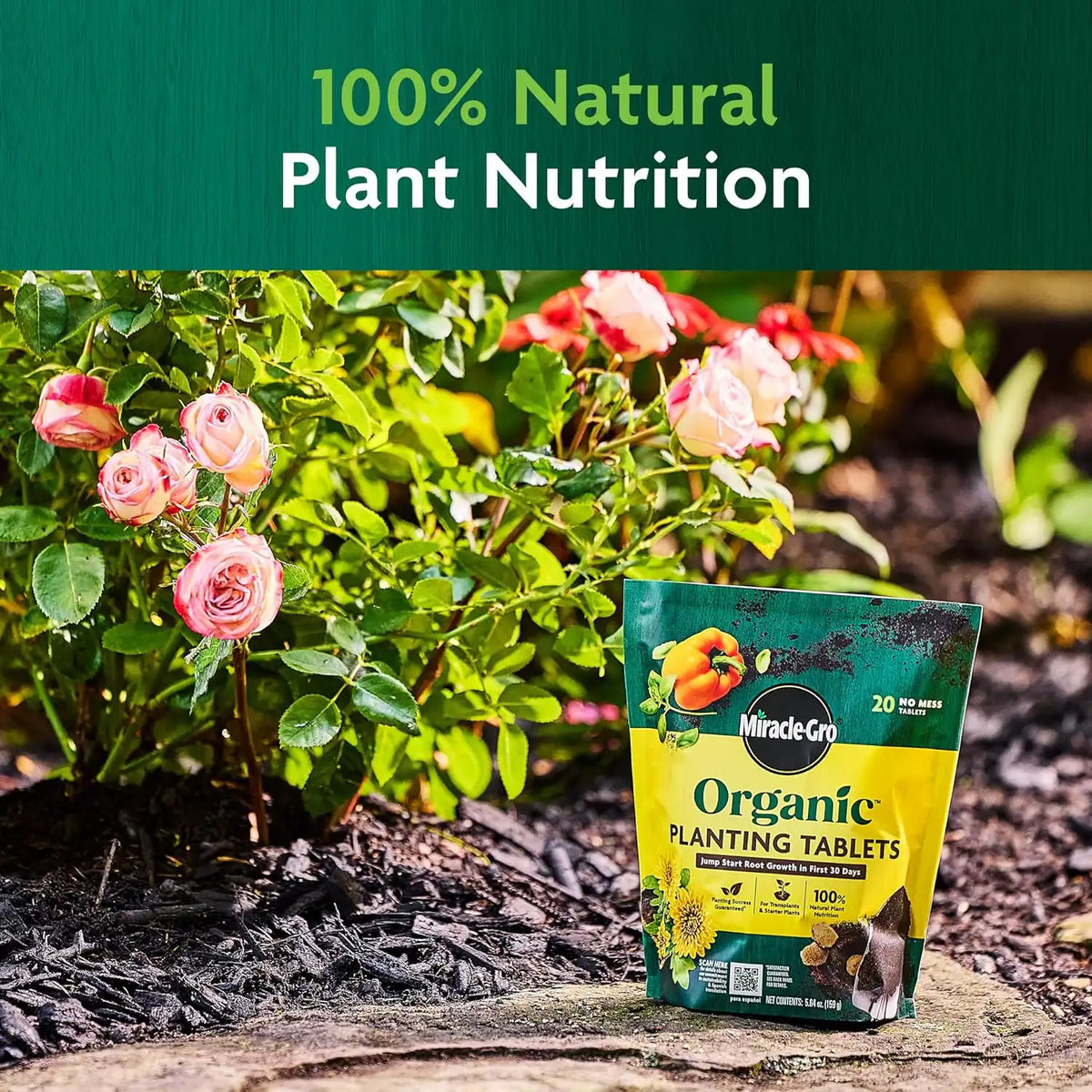 Miracle-Gro Organic Planting Tablets, 20 Tablets (Pack of 6)