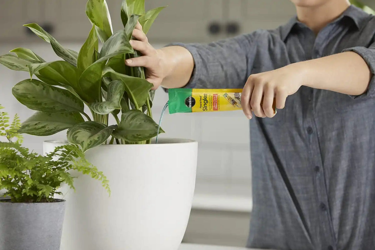 Miracle-Gro Pour & Feed Singles Ready-to-Use Plant Food