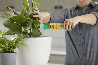 Miracle-Gro Pour & Feed Singles Ready-to-Use Plant Food
