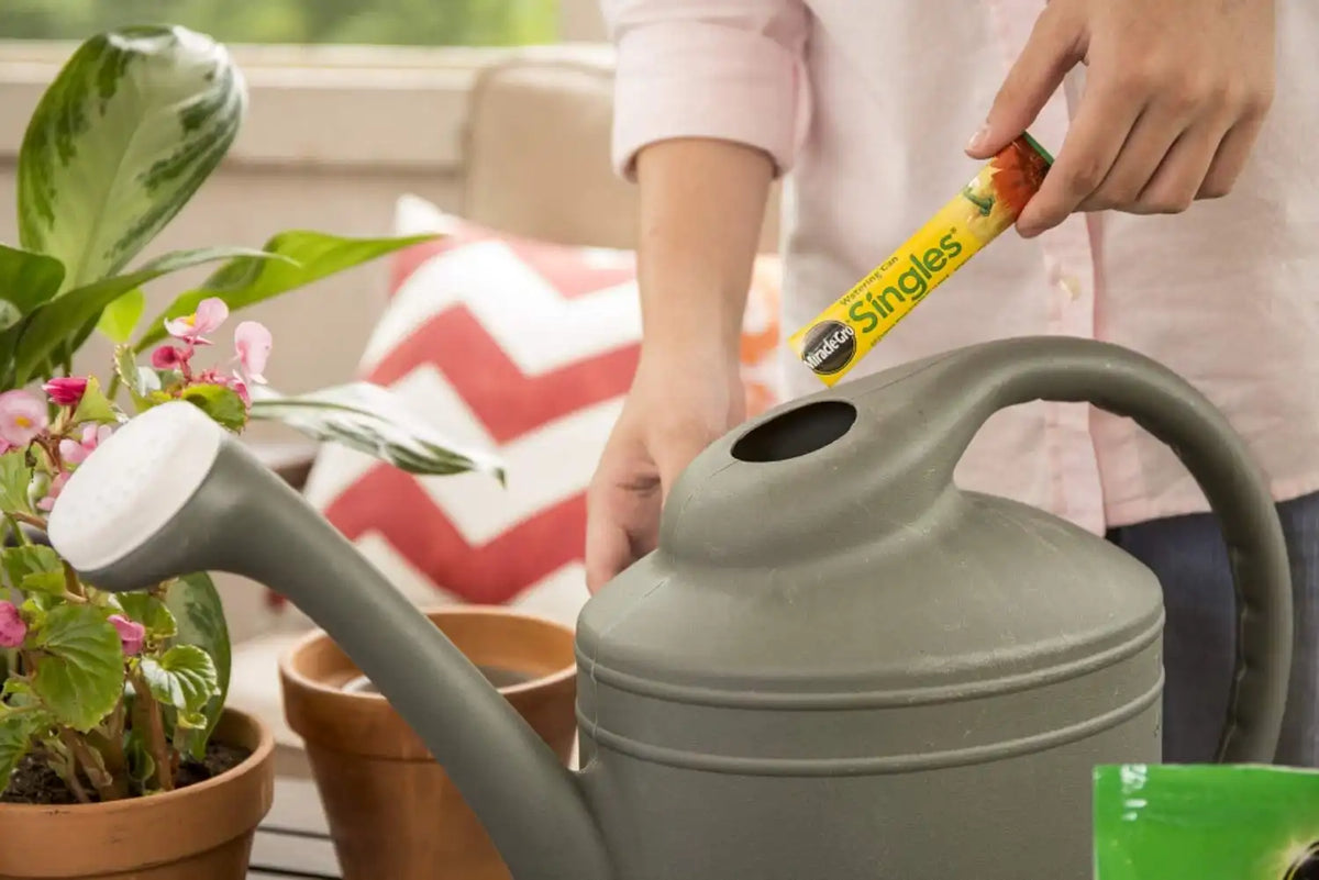 Miracle-Gro Watering Can Singles All Purpose Plant Food 24 Packets (6-Pack)