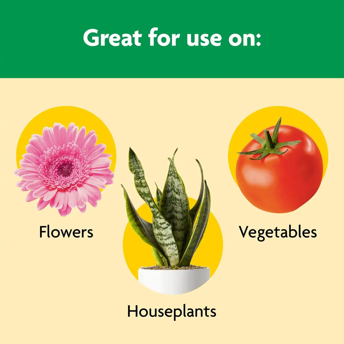 Miracle-Gro Shake 'N Feed All Purpose Plant Food - Outdoor and Indoor Plant Food for In-Ground and Containers, Feeds for up to 3 Months, 8 lbs. (Pack of 4)