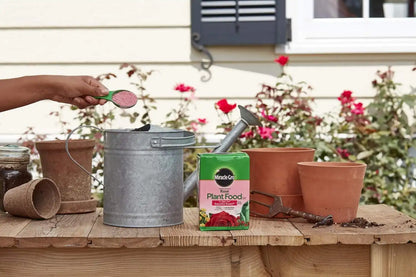 Miracle-Gro Water Soluble Rose Plant Food, 1.5 lb. (2-Pack)