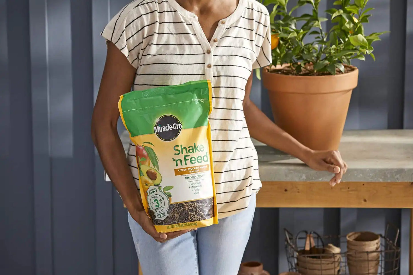 Miracle-Gro Shake 'N Feed Citrus, Avocado, Mango Plant Food - Fertilizer for Container and In-Ground Plants, Citrus, Avocado and Mango Trees, 8 lb. (Pack of 4)