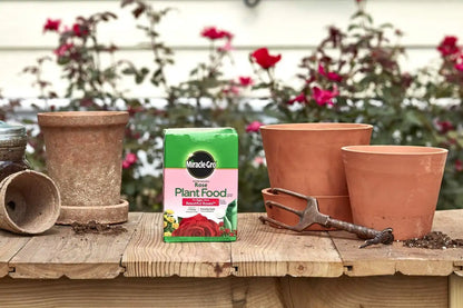 Miracle-Gro Water Soluble Rose Plant Food, 1.5 lb. (6-Pack)