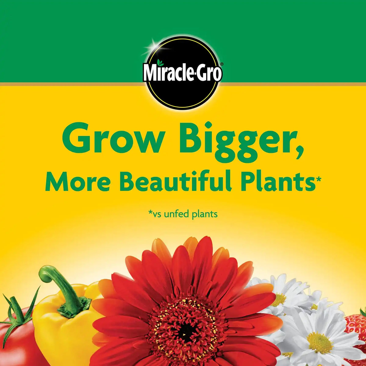 Miracle-Gro Water Soluble All Purpose Plant Food, 6.25 lb.