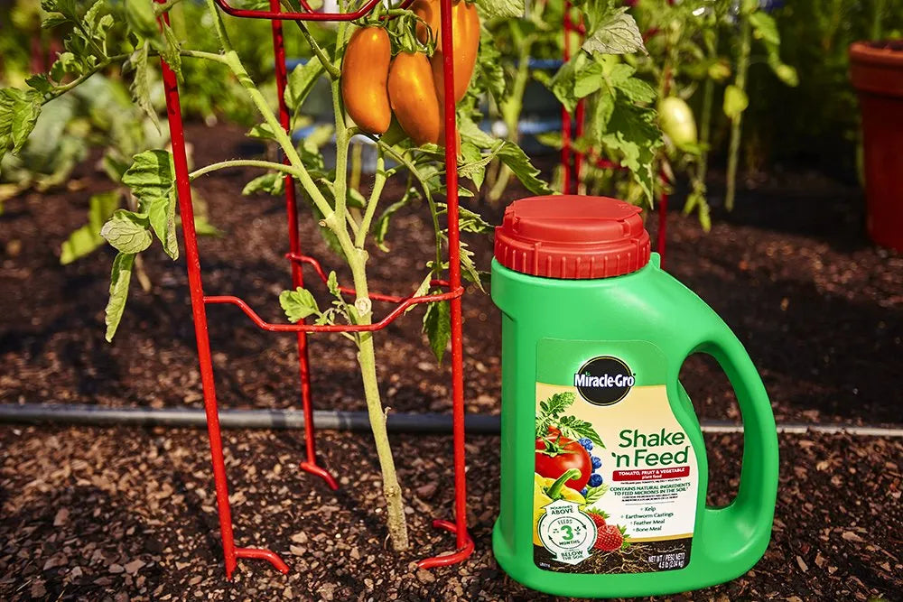 Miracle-Gro Shake 'n Feed Tomato, Fruit and Vegetable Plant Food, for Outdoor In-Ground and Potted Plants, Feeds up to 3 Months, 4.5 lbs. (Pack of 6)