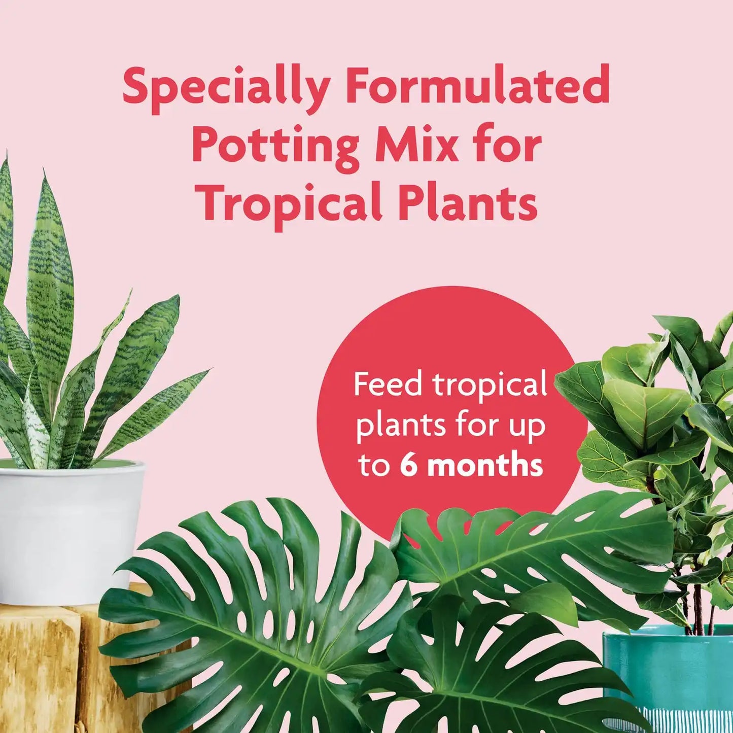 Miracle-Gro Tropical Potting Mix, 6 qt. (2-Pack)