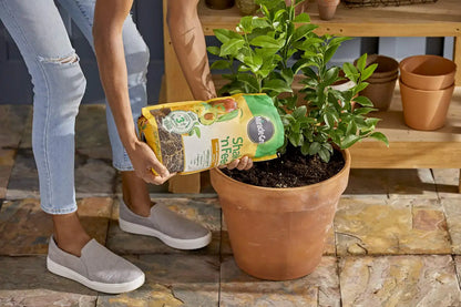 Miracle-Gro Shake 'N Feed Citrus, Avocado, Mango Plant Food - Fertilizer for Container and In-Ground Plants, Citrus, Avocado and Mango Trees, 8 lb. (Pack of 4)