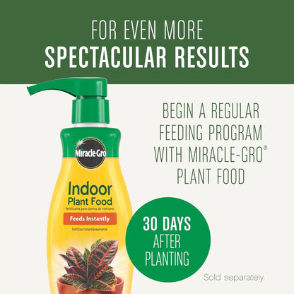 Miracle-Gro Houseplant Potting Mix, 4 qt. (2-Pack)