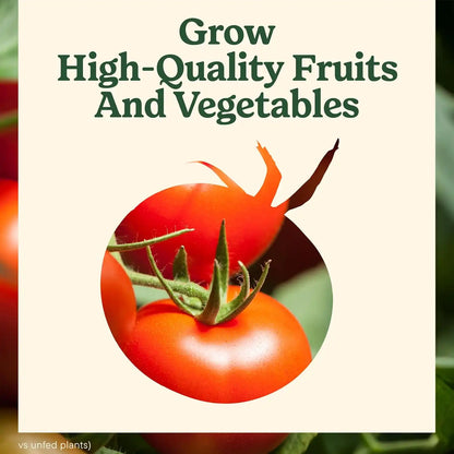 Miracle-Gro Shake 'N Feed Tomato, Fruit & Vegetable Plant Food, 1 lb.