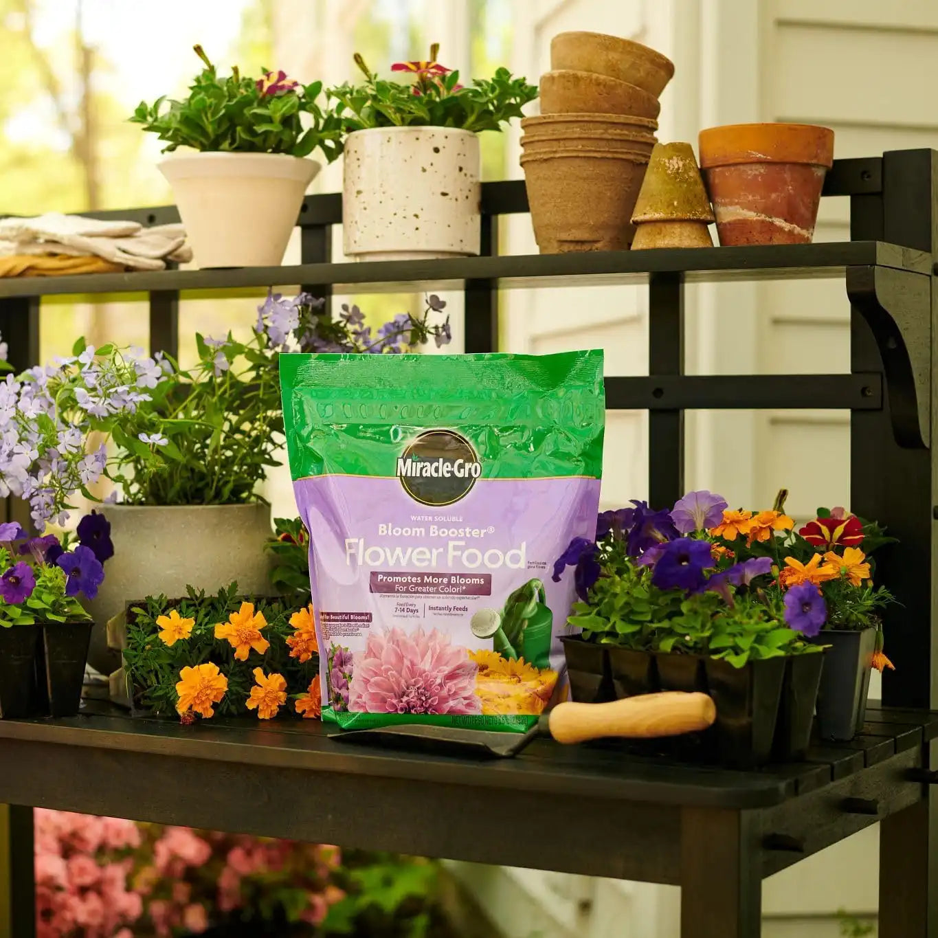 Miracle-Gro Water Soluble Bloom Booster Flower Food, 5.5 lb.