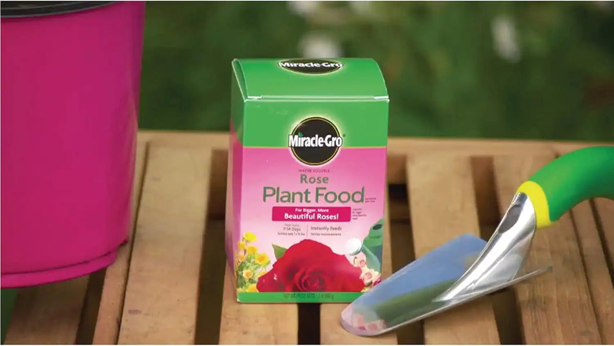 Miracle-Gro Water Soluble Rose Plant Food, 1.5 lb. (2-Pack)