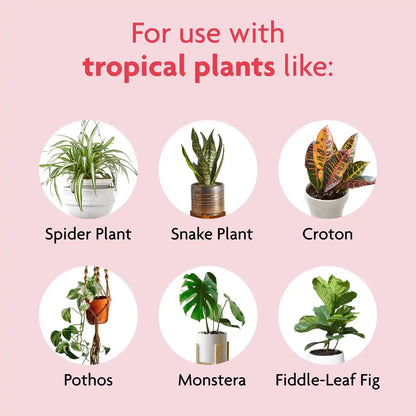 Miracle-Gro Tropical Potting Mix, 6 qt. (2-Pack)