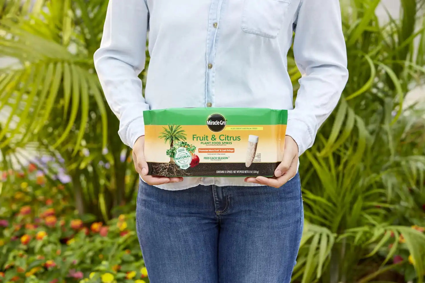 Miracle-Gro Fruit & Citrus Plant Food Spikes, 12 Spikes, 3 lb. (2-Pack)