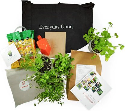 Gardenuity Everyday Good Garden – Live Bonnie Plants, Miracle-Gro Pour & Feed Plant Food, Soil & 5-Gallon Grow Bag – Patio Herb Garden Kit for Beginners