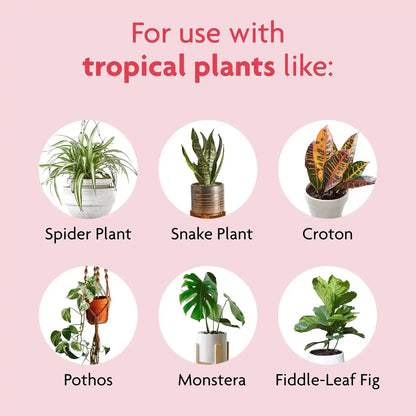 Miracle-Gro Tropical Potting Mix, For Container Plants, Use with Snake Plants, Spider Plants, Pothos, Monstera, 6 qt., 3-Pack