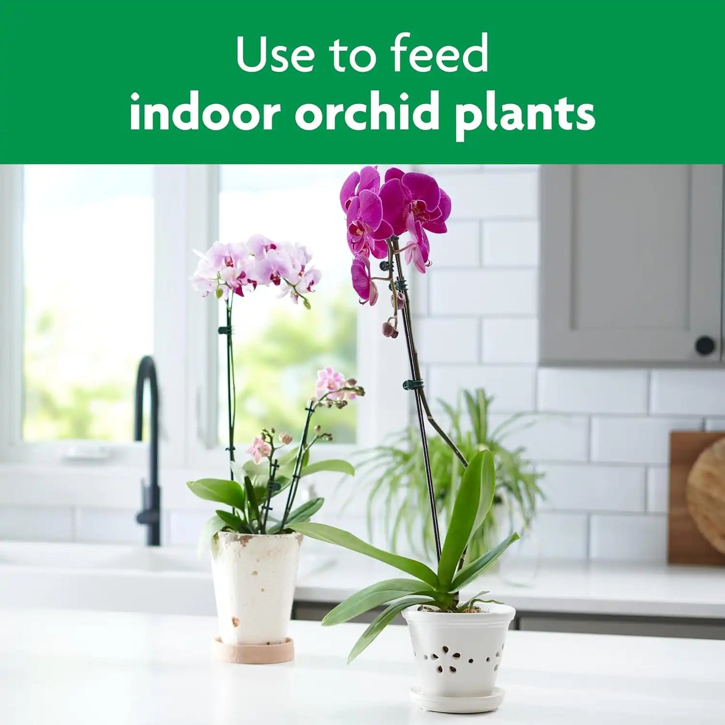 Miracle-Gro Ready-to-Use Orchid Plant Food Mist - Fertilizer Mist for Indoor Blooming Orchids - 8 fl. oz. (2 Pack)