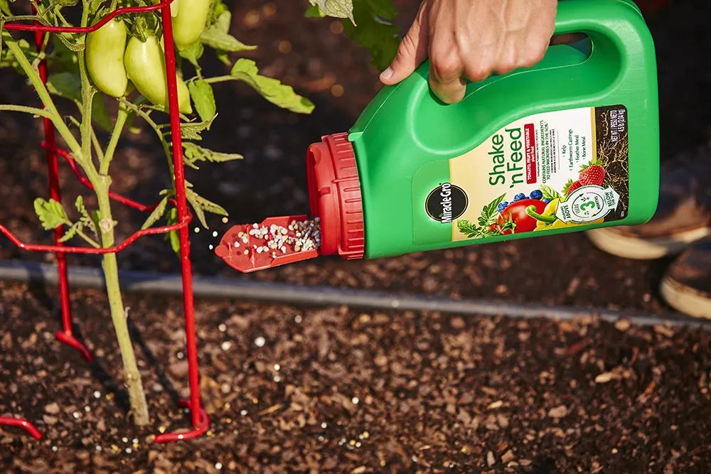 Miracle-Gro Shake 'n Feed Tomato, Fruit and Vegetable Plant Food, for Outdoor In-Ground and Potted Plants, Feeds up to 3 Months, 4.5 lbs. (Pack of 6)