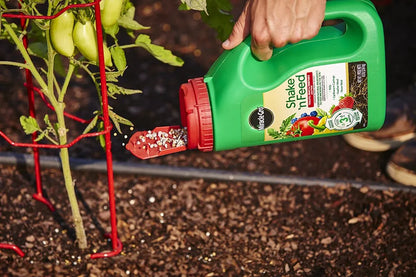 Miracle-Gro Shake 'n Feed Tomato, Fruit and Vegetable Plant Food, for Outdoor In-Ground and Potted Plants, Feeds up to 3 Months, 4.5 lbs. (Pack of 6)