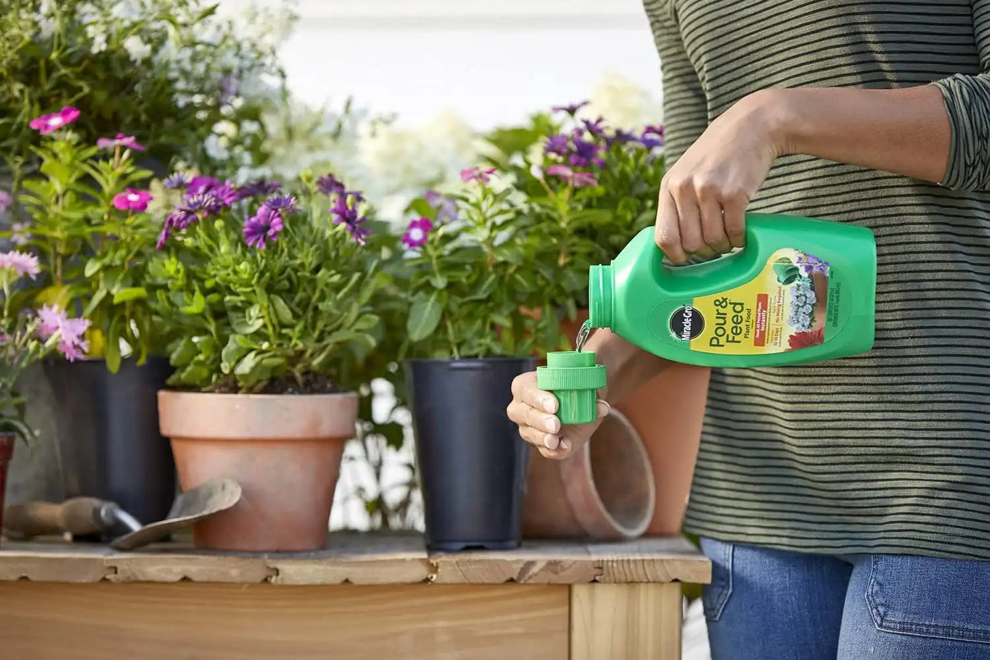 Miracle-Gro Pour & Feed Plant Food (Liquid), 32 fl. oz. (6 Pack)