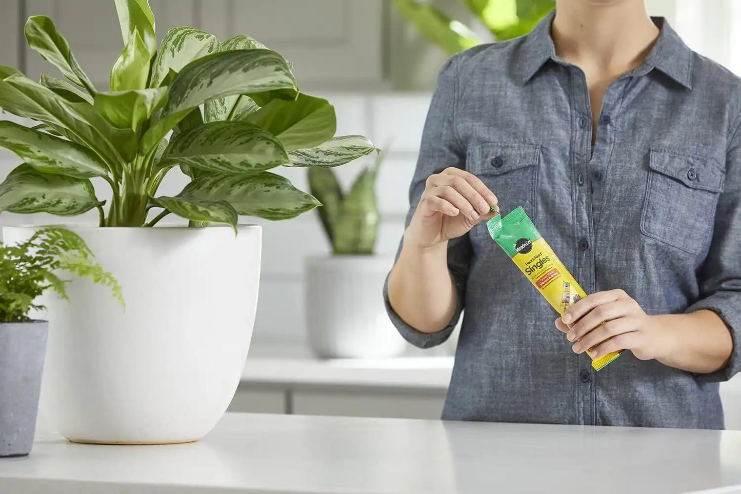Miracle-Gro Pour & Feed Singles Ready-to-Use Plant Food