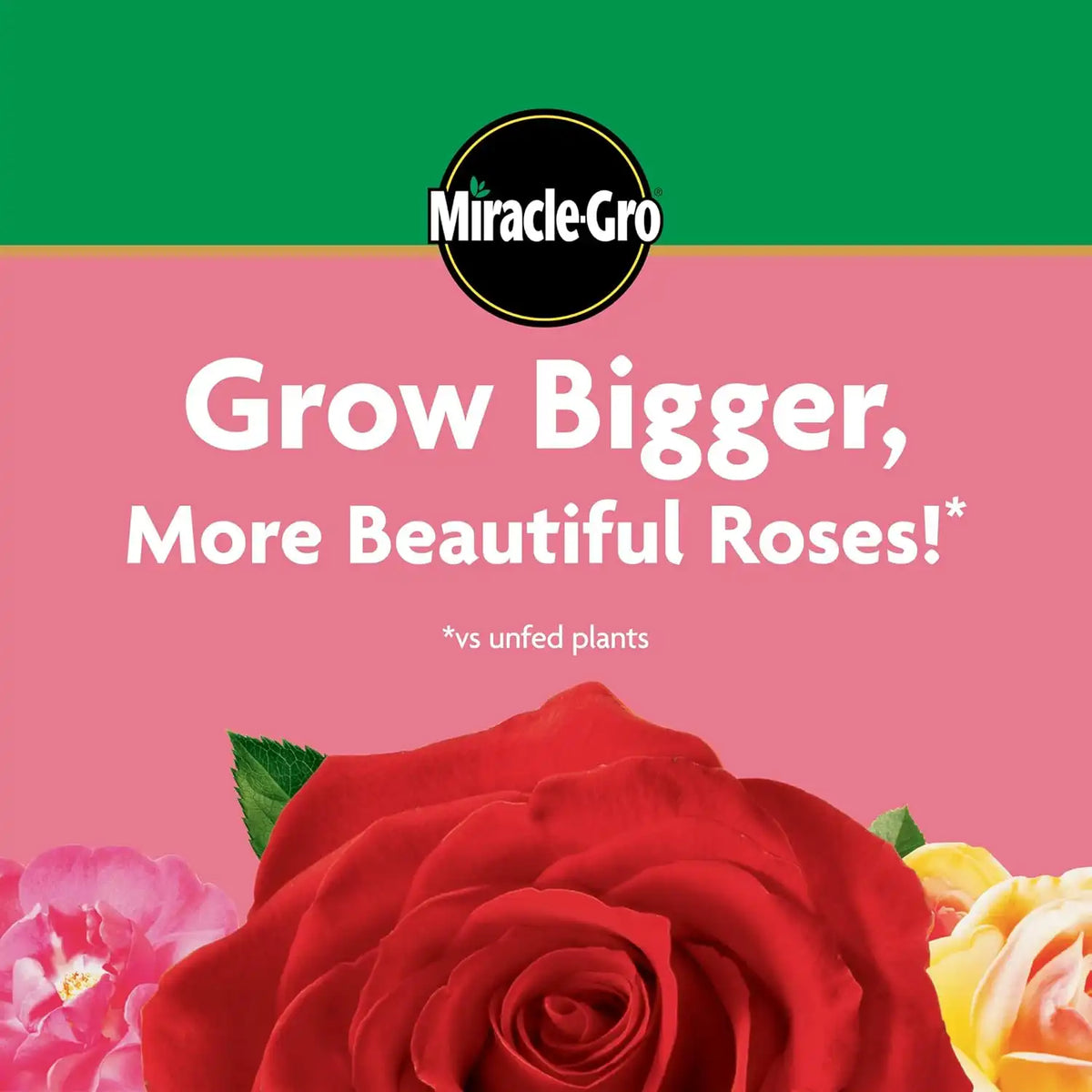 Miracle-GRO Water Soluble Rose Plant Food, 1.5 lb