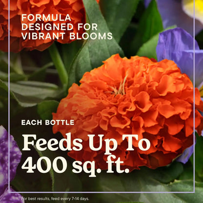 Miracle-Gro LiquaFeed Advance Starter Kit & Bloom Booster Flower Food