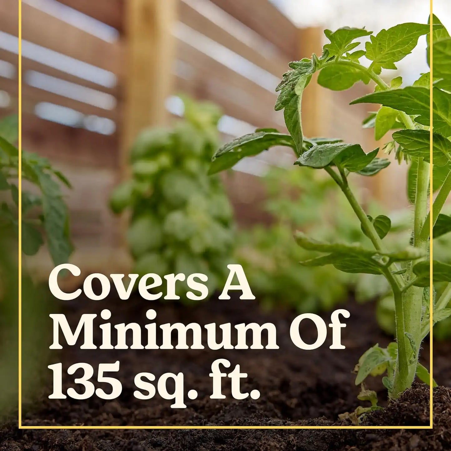 Miracle-Gro Shake 'N Feed Citrus, Avocado, Mango Plant Food - Fertilizer for Container and In-Ground Plants, Citrus, Avocado and Mango Trees, 4.5 lbs.