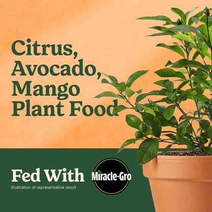 Miracle-Gro Shake 'N Feed Citrus, Avocado, Mango Plant Food - Fertilizer for Container and In-Ground Plants, Citrus, Avocado and Mango Trees, 4.5 lbs.