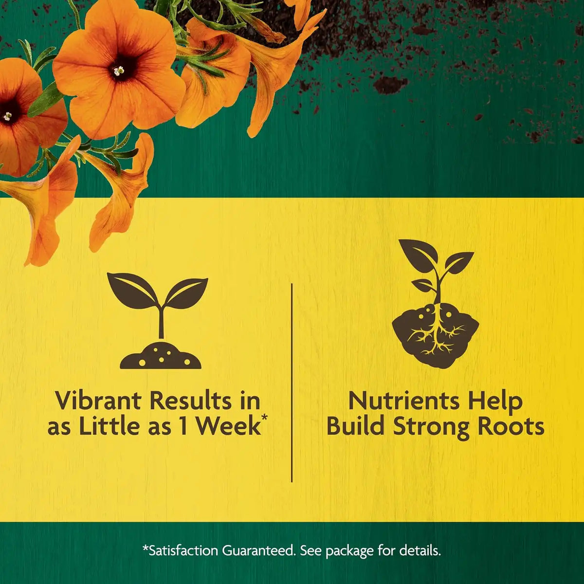 Miracle-Gro Organic All Purpose Plant Food, 3 lb. (2-Pack)
