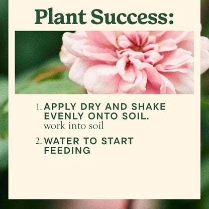Miracle-Gro Shake 'N Feed All Purpose Plant Food, 1 lb.