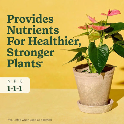 Miracle-Gro Indoor Plant Food for All Plants, 8 fl. oz. (2-Pack)
