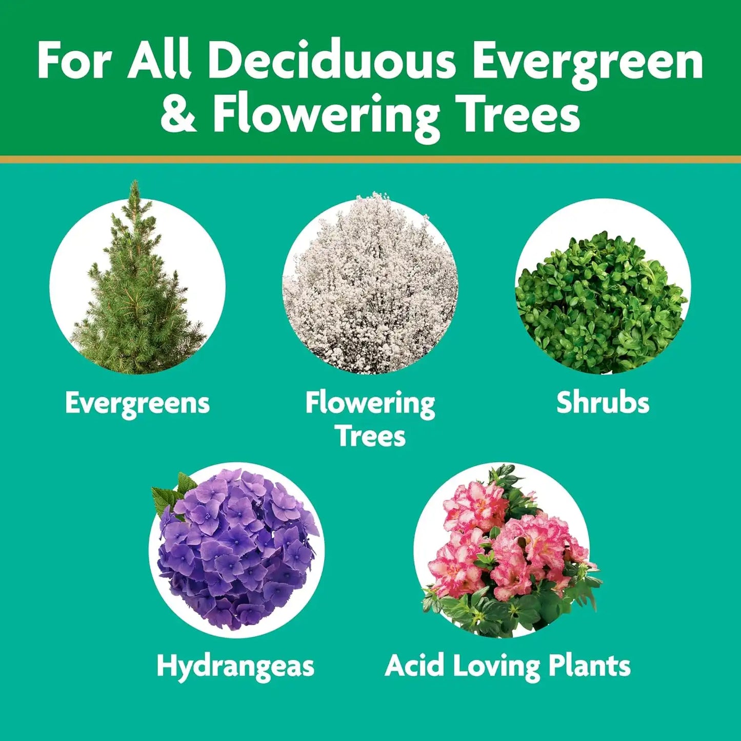 Miracle-Gro Shake 'N Feed Flowering Trees and Shrubs Plant Food, for In-Ground and Container Plants, Acid-Loving Flowering Plants, 8 lbs., (Pack of 4)