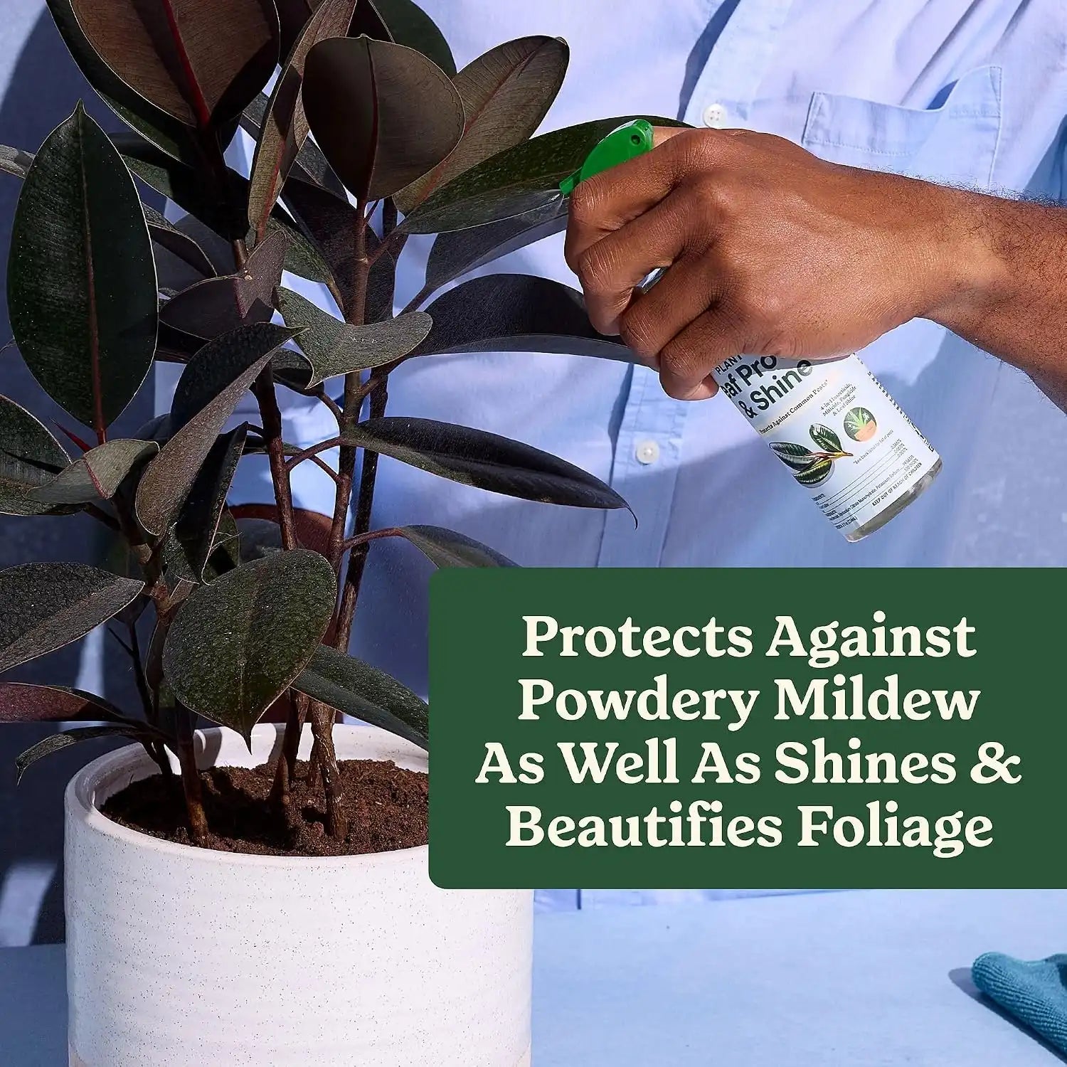 Miracle-Gro Plant Care Leaf Protect & Shine, 8 fl. oz. (2-Pack)