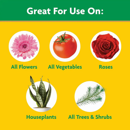 Miracle-Gro Water Soluble All Purpose Plant Food - Fertilizer for All Indoor or Outdoor Plants Including Roses, Flowers, Vegetables, Houseplants, Trees, and Shrubs, 1.5 lbs. (Pack of 6)