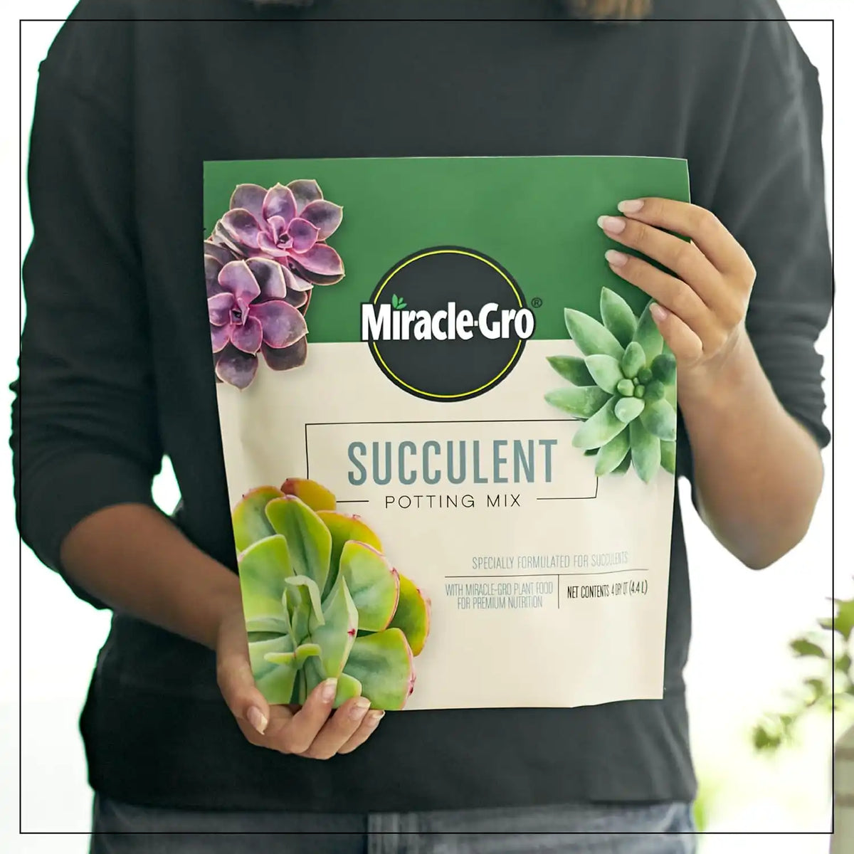 Miracle-Gro Succulent Potting Mix, 4 qt. (2-Pack)