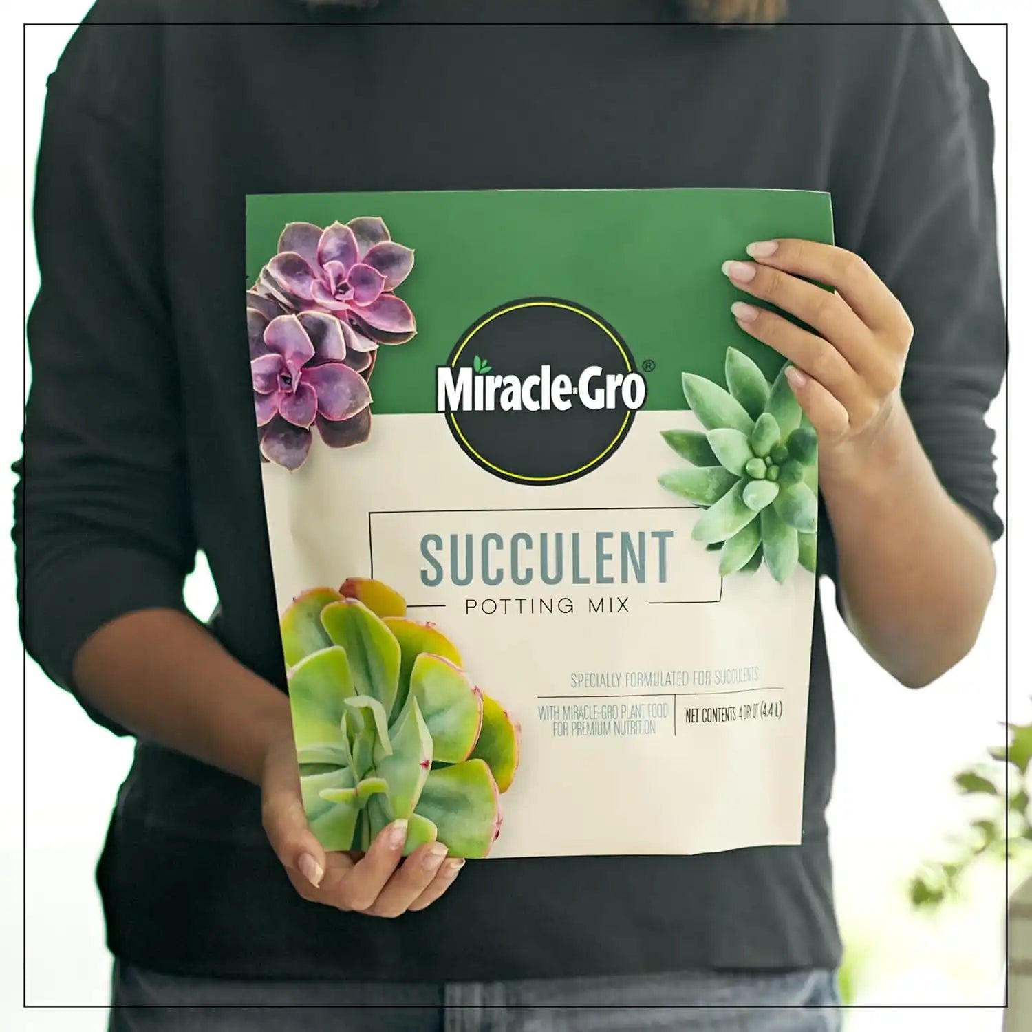 Miracle-Gro Succulent Potting Mix, 4 qt. (2-Pack)