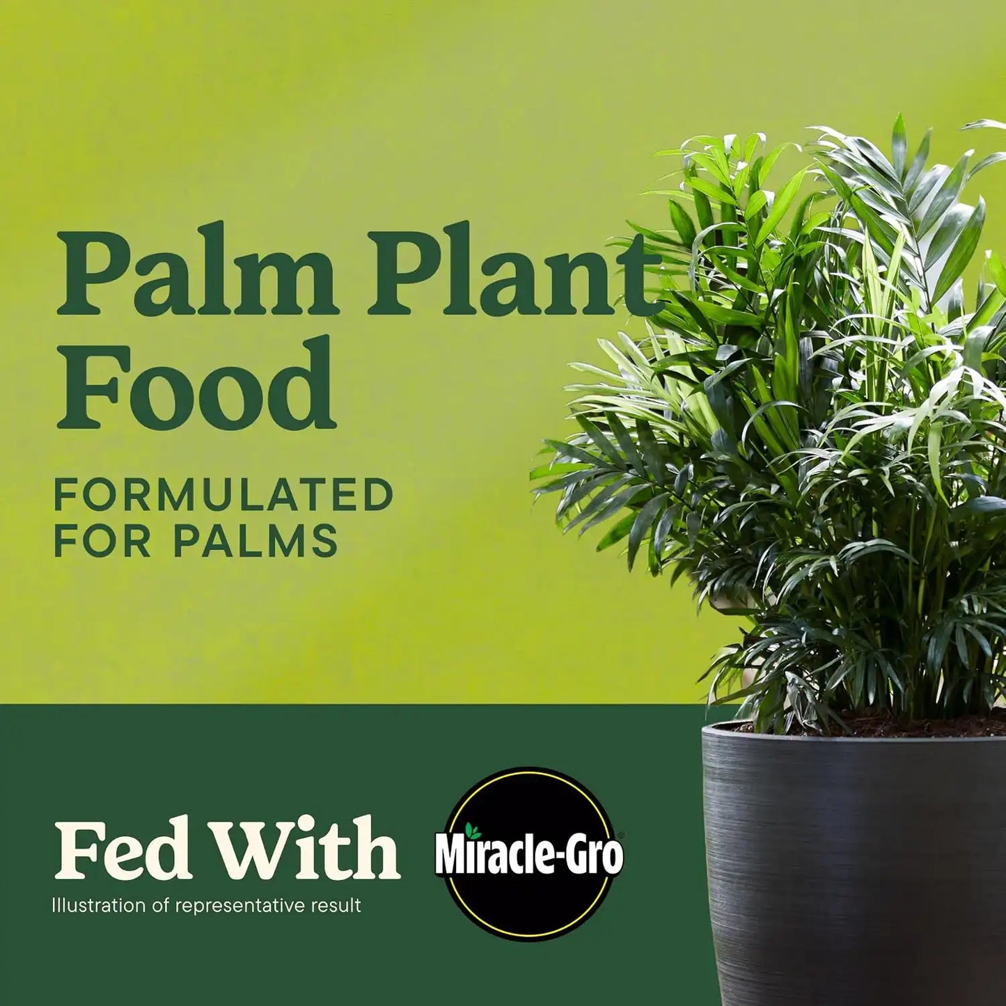 Miracle-Gro Shake 'N Feed Palm Plant Food, 4.5 lb.
