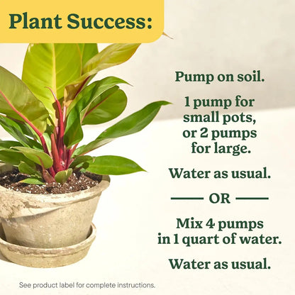 Miracle-Gro Indoor Plant Food for All Plants, 8 fl. oz. (2-Pack)