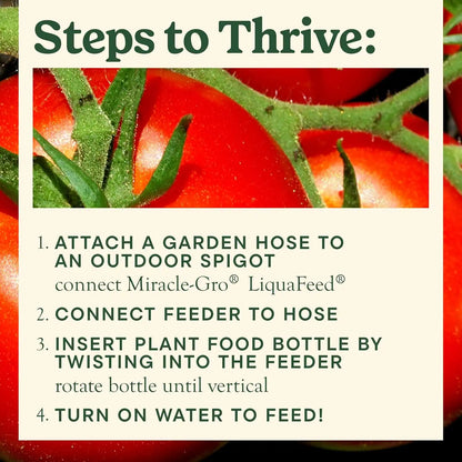Miracle-Gro LiquaFeed Tomato, Fruits and Vegetables Plant Food (2-Pack)