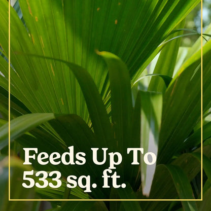 Miracle-Gro Shake 'N Feed Palm Plant Food, 8 lb.