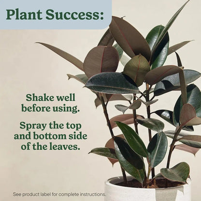 Miracle-Gro Plant Care Leaf Protect & Shine, 8 fl. oz. (2-Pack)