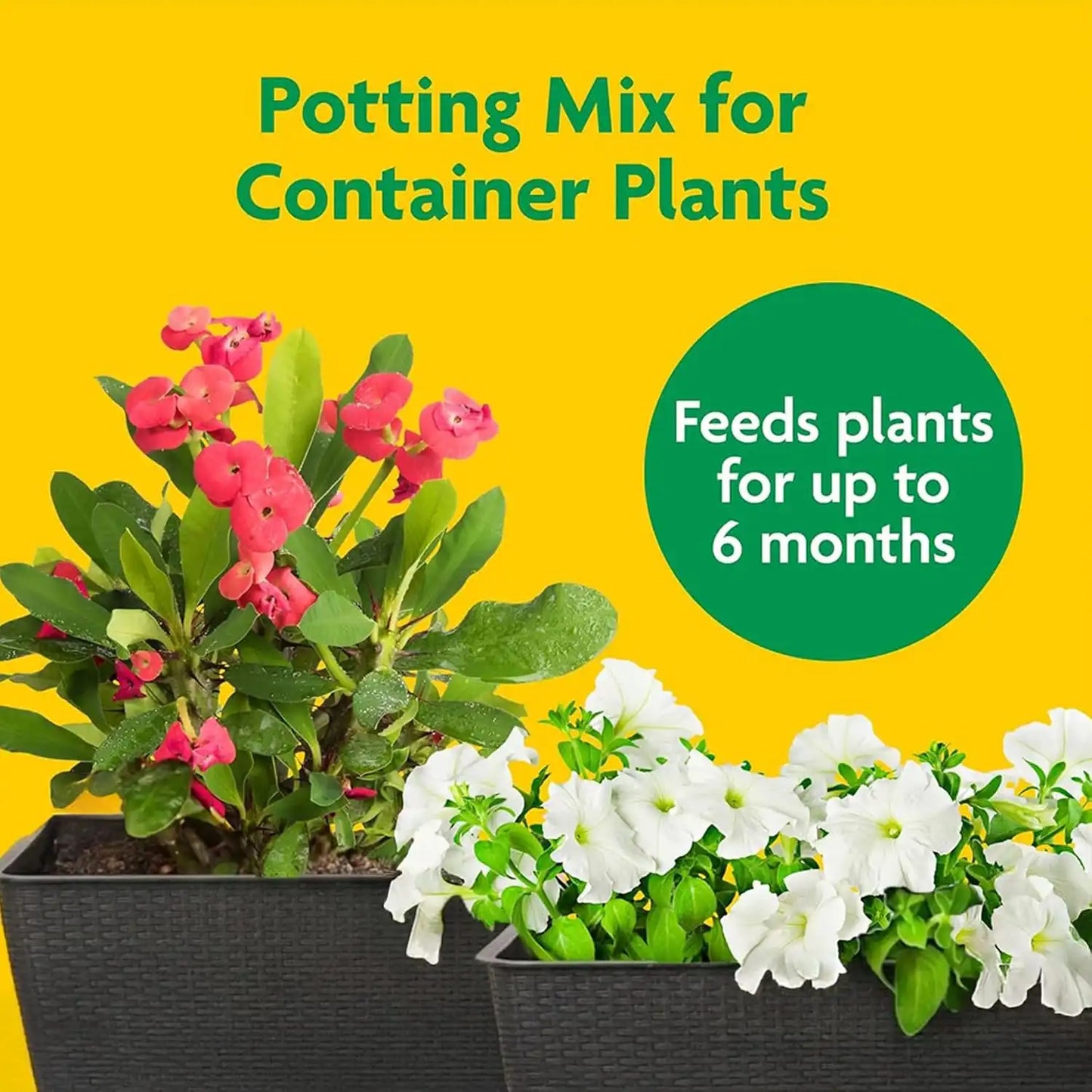 Miracle-Gro 2 Cu Ft Potting Mix and 24-Pack Indoor Plant Food Spikes