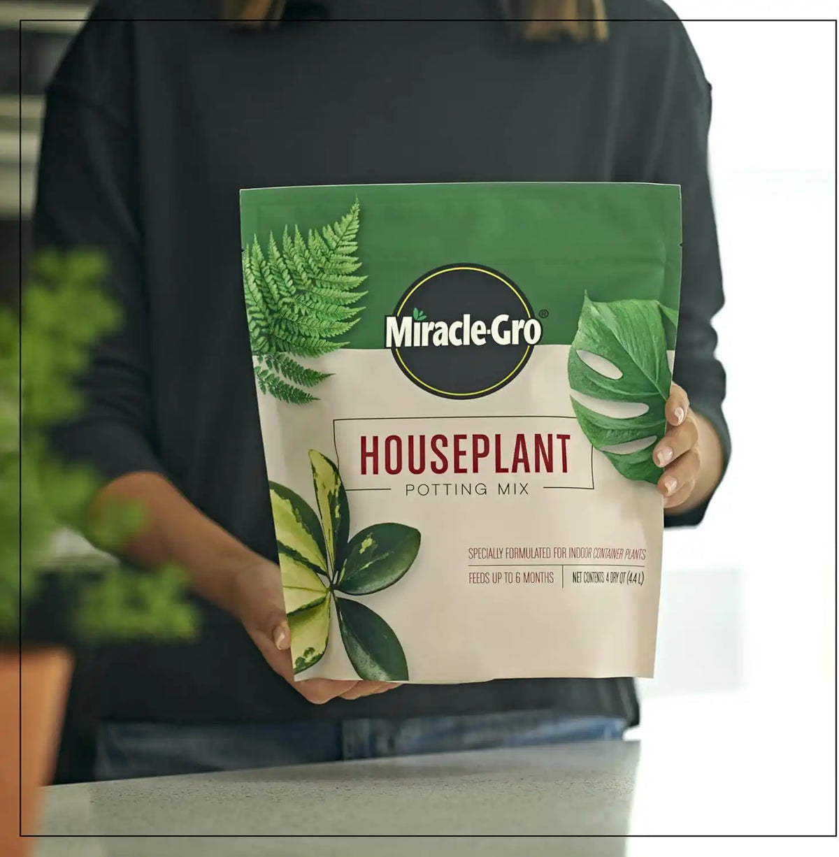 Miracle-Gro Houseplant Potting Mix, 4 qt. (2-Pack)