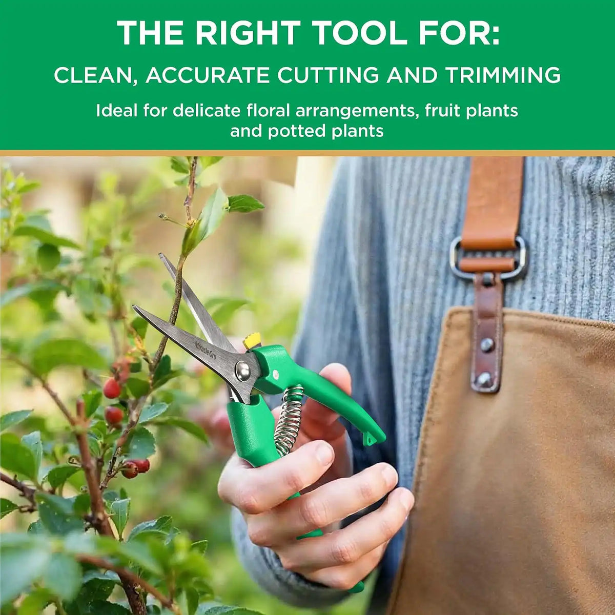 Miracle-Gro Straight Tip Floral Shears - Lightweight Gardening Scissors - Hand Pruner Pruning Shear for Flowers, Herbs, Roses and Indoor Plants