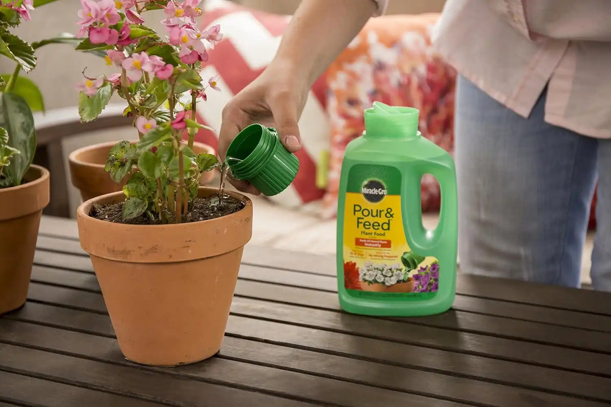 Miracle-Gro Plant Food, Liquid | Pour & Feed | 32 fl. oz | Pack of 2