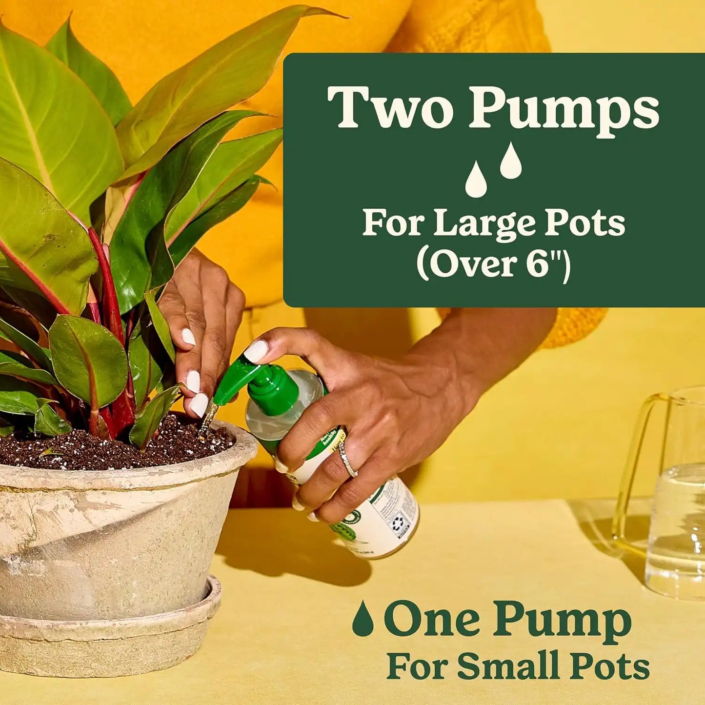 Miracle-Gro Indoor Plant Grow, Feed & Protect Houseplant Care Bundle